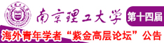 自述与大鸡鸡干到爽视频南京理工大学第十四届海外青年学者紫金论坛诚邀海内外英才！